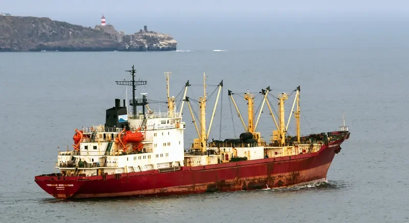 GENNADY VODOLAZSKIY General Cargo IMO 9082180 photo 2