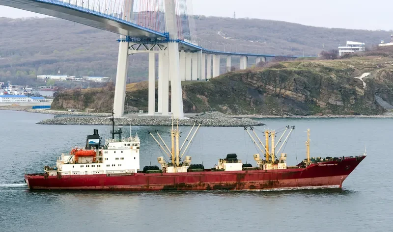 GENNADY VODOLAZSKIY General Cargo IMO 9082180 photo 3