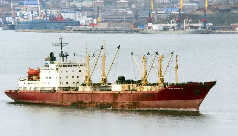 GENNADY VODOLAZSKIY General Cargo IMO 9082180 photo 4