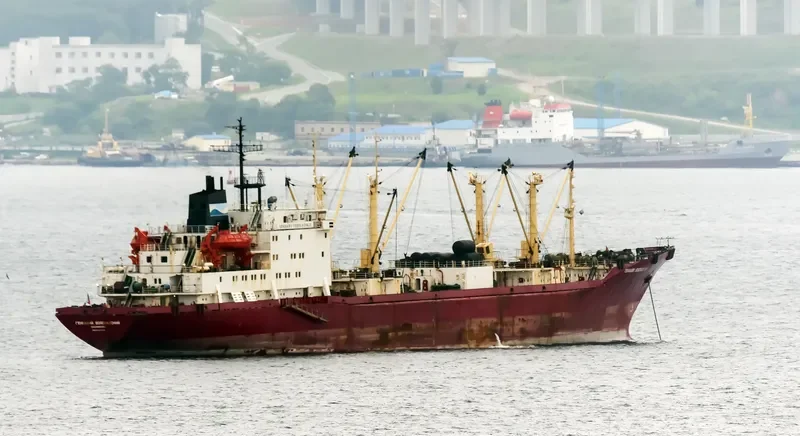 GENNADY VODOLAZSKIY General Cargo IMO 9082180 photo 5