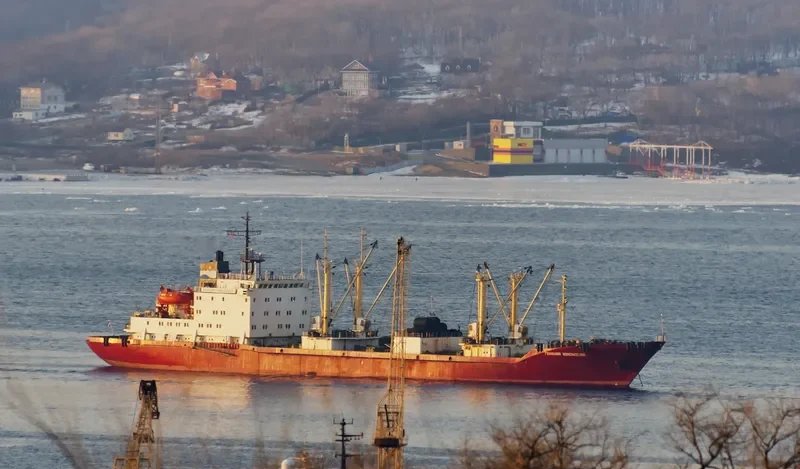 GENNADY VODOLAZSKIY General Cargo IMO 9082180 photo 6