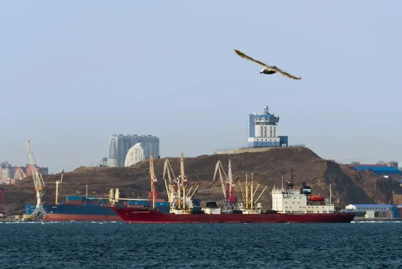 GENNADY VODOLAZSKIY General Cargo IMO 9082180 photo 9