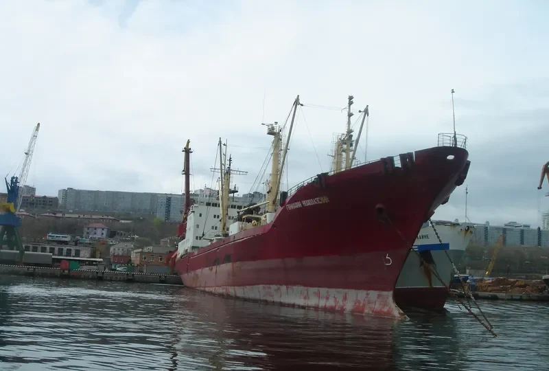 GENNADY VODOLAZSKIY General Cargo IMO 9082180 photo 10