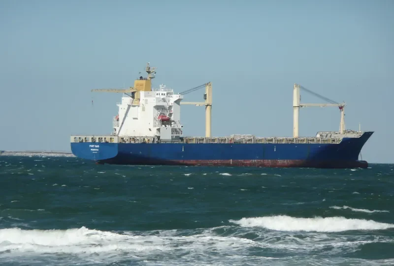 PORT SAID Container Ship IMO 9082362 photo 8
