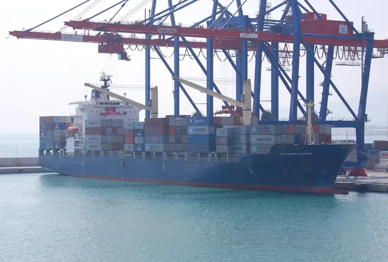 NORTHERN DELIGHT Container Ship IMO 9082374