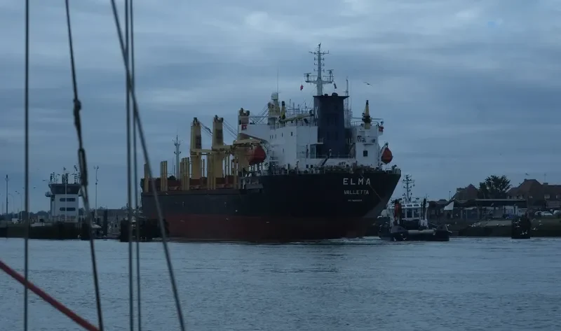 HAROUN BEY Bulk Carrier IMO 9082609 photo 2