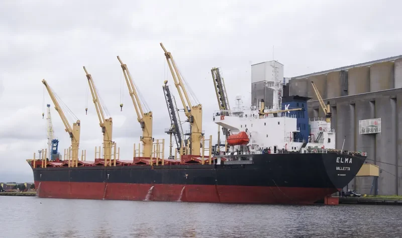 HAROUN BEY Bulk Carrier IMO 9082609 photo 3