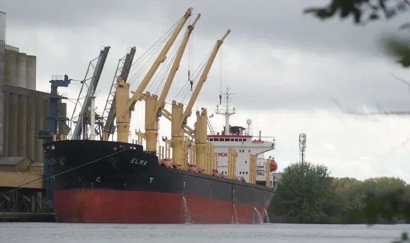 HAROUN BEY Bulk Carrier IMO 9082609 photo 4