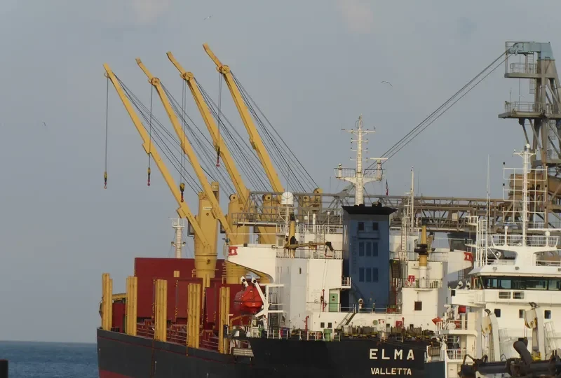 HAROUN BEY Bulk Carrier IMO 9082609 photo 5