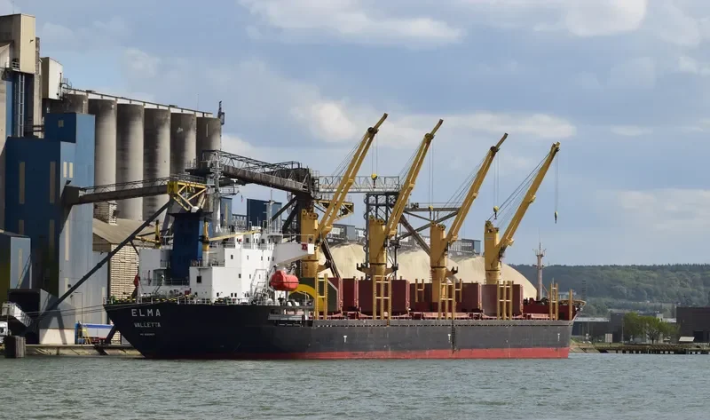 HAROUN BEY Bulk Carrier IMO 9082609 photo 6