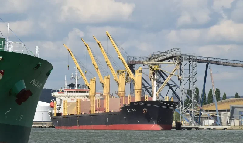HAROUN BEY Bulk Carrier IMO 9082609 photo 7