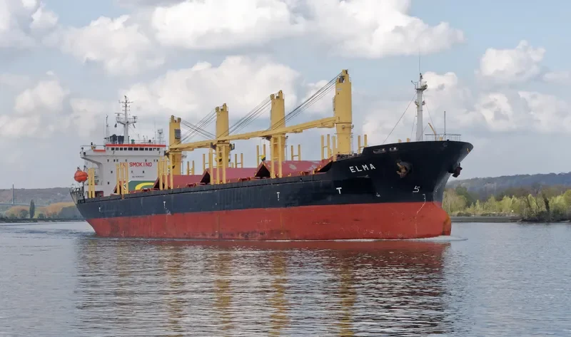 HAROUN BEY Bulk Carrier IMO 9082609 photo 8