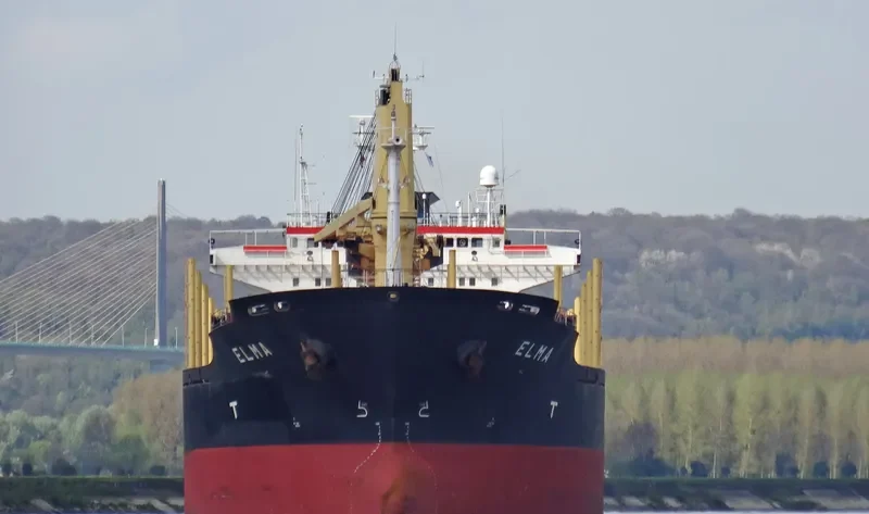 HAROUN BEY Bulk Carrier IMO 9082609 photo 9