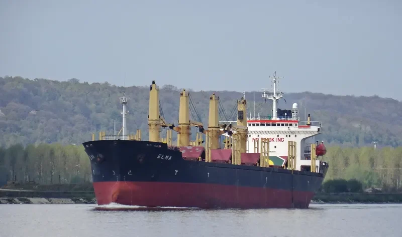 HAROUN BEY Bulk Carrier IMO 9082609 photo 10