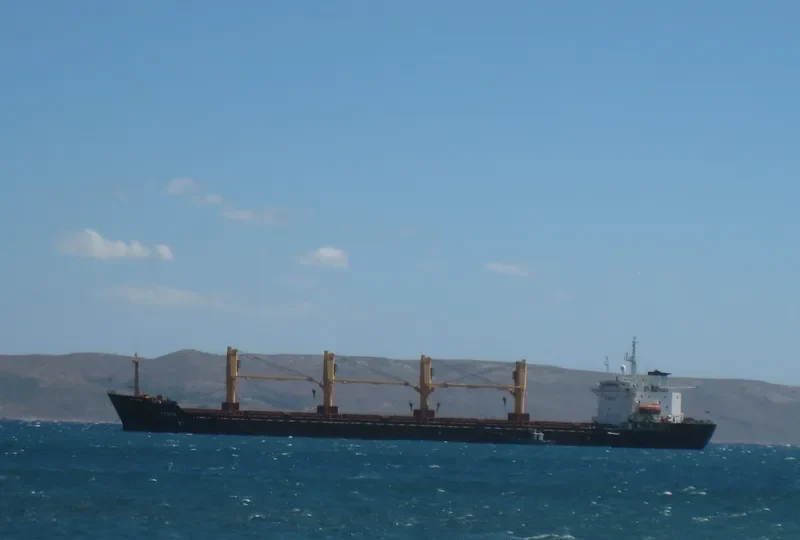 VENTO Bulk Carrier IMO 9082623 photo 2