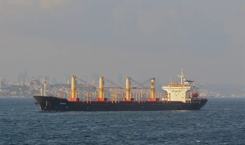 VENTO Bulk Carrier IMO 9082623 photo 4