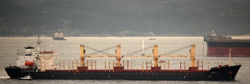 VENTO Bulk Carrier IMO 9082623 photo 5