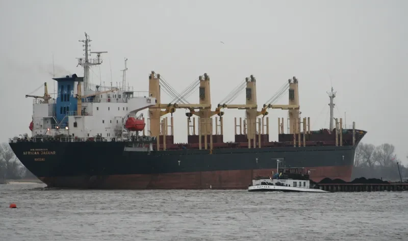 VENTO Bulk Carrier IMO 9082623 photo 7