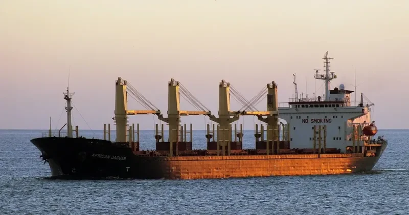 VENTO Bulk Carrier IMO 9082623 photo 10