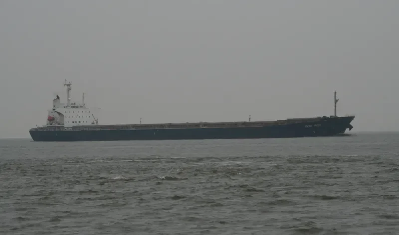 ELLIE Bulk Carrier IMO 9082726 photo 2