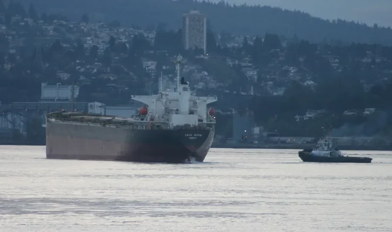 ELLIE Bulk Carrier IMO 9082726 photo 4