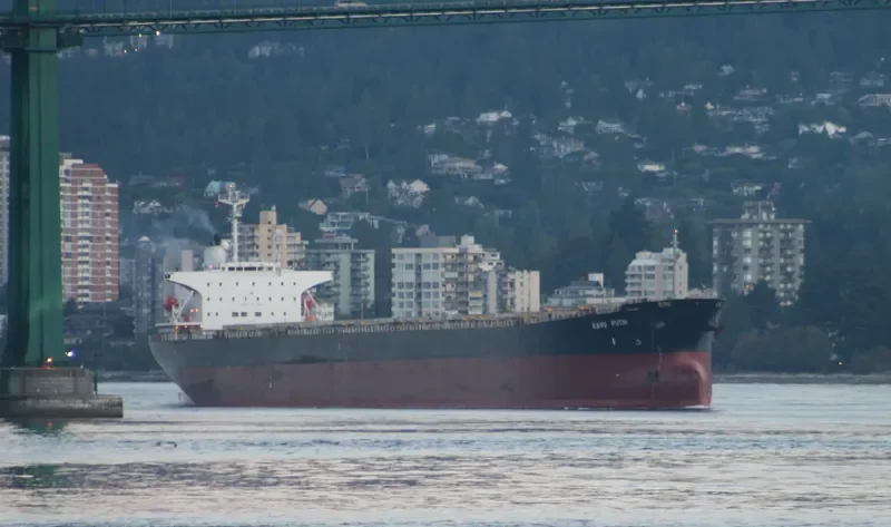 ELLIE Bulk Carrier IMO 9082726 photo 6