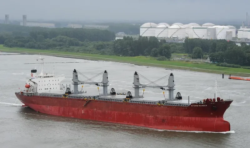 SEA SMILE Bulk Carrier IMO 9082738 photo 2