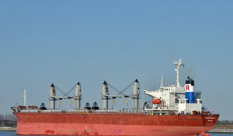 SEA SMILE Bulk Carrier IMO 9082738 photo 6