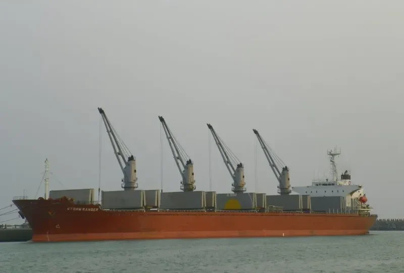 SEA SMILE Bulk Carrier IMO 9082738 photo 7