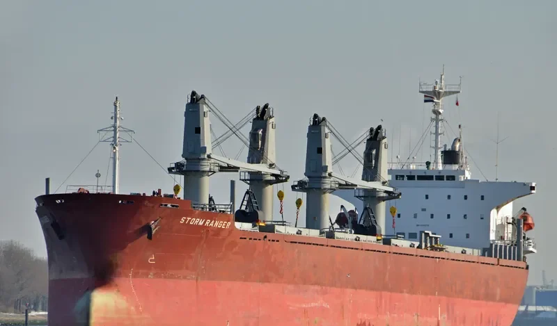 SEA SMILE Bulk Carrier IMO 9082738 photo 8