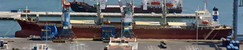 SEA SMILE Bulk Carrier IMO 9082738 photo 9