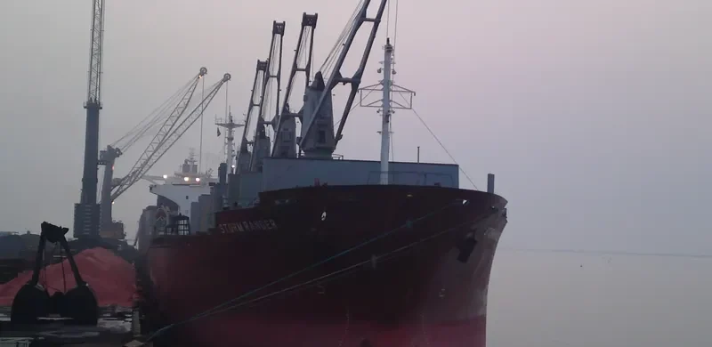SEA SMILE Bulk Carrier IMO 9082738 photo 10
