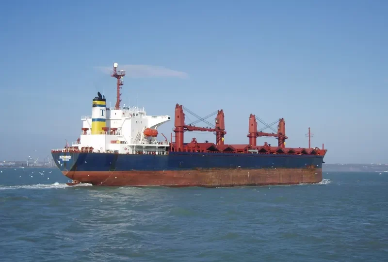 ELISSEOS Bulk Carrier IMO 9082740 photo 6
