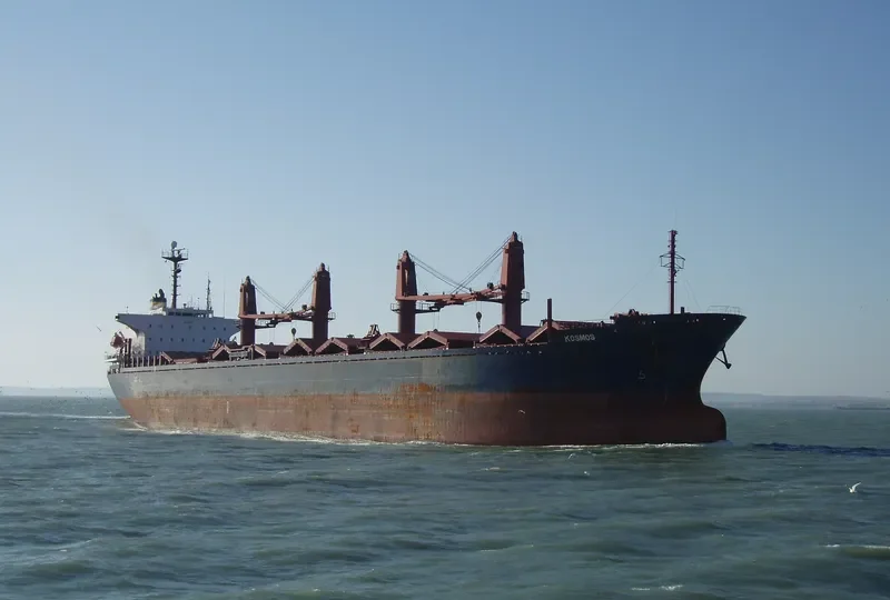 ELISSEOS Bulk Carrier IMO 9082740 photo 9
