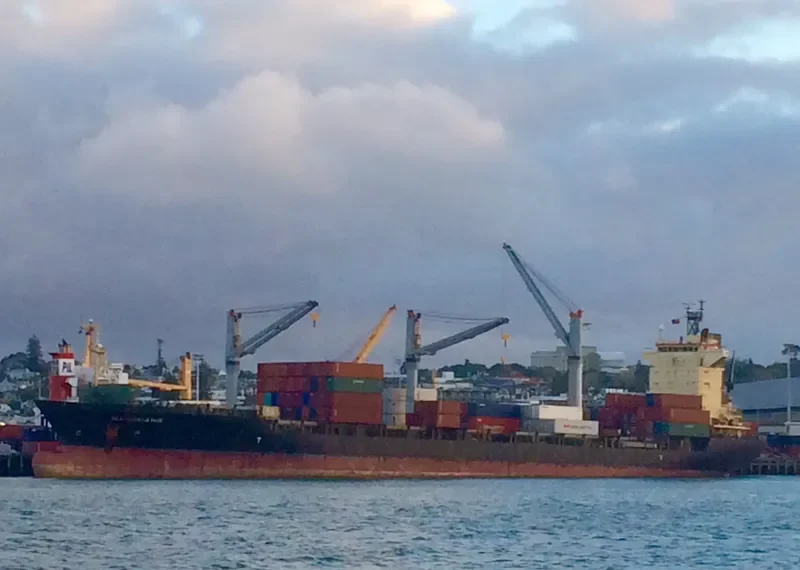 OEL DELTA Container Ship IMO 9082805 photo 5