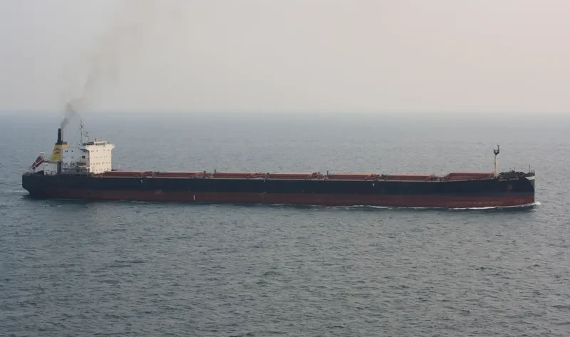 DAL VA Bulk Carrier IMO 9082879