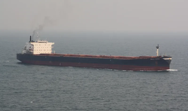 DAL VA Bulk Carrier IMO 9082879 photo 2