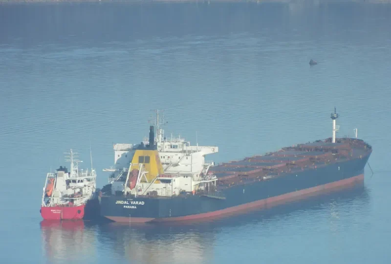 DAL VA Bulk Carrier IMO 9082879 photo 3