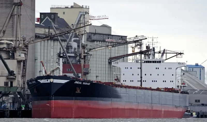 DAL VA Bulk Carrier IMO 9082879 photo 5