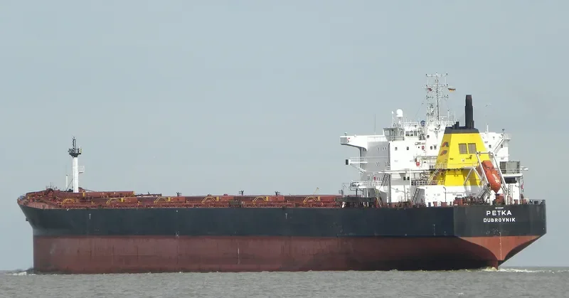 DAL VA Bulk Carrier IMO 9082879 photo 6