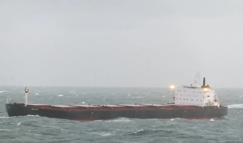 DAL VA Bulk Carrier IMO 9082879 photo 7