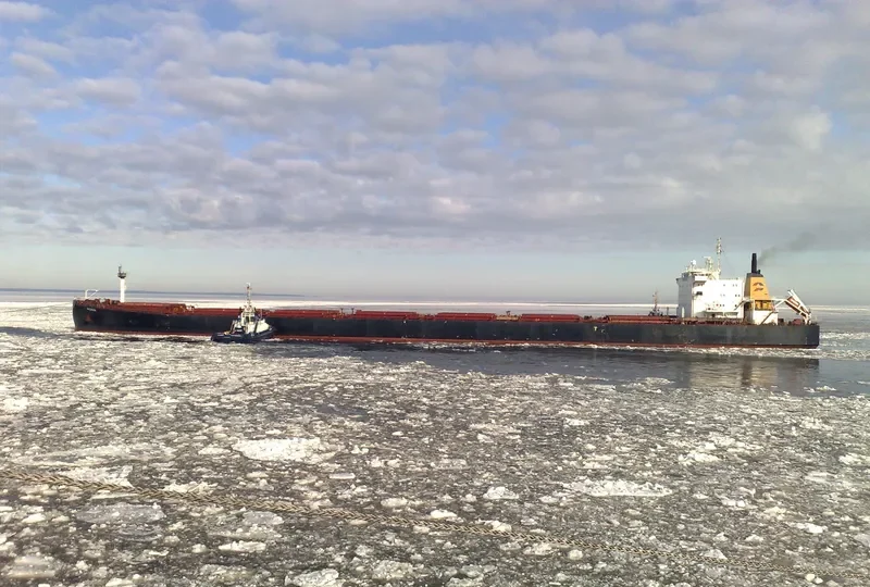 DAL VA Bulk Carrier IMO 9082879 photo 9