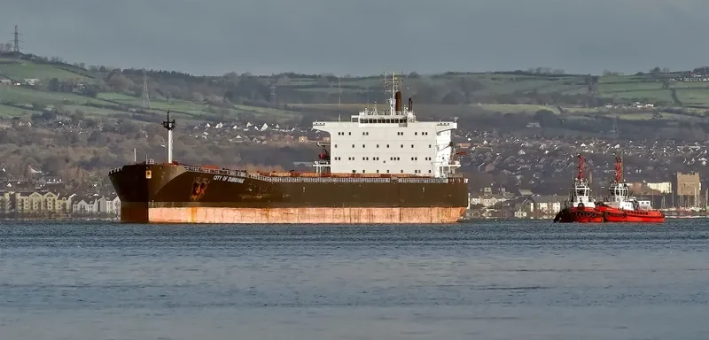 WUYI HK Bulk Carrier IMO 9082881