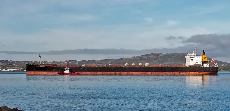 WUYI HK Bulk Carrier IMO 9082881 photo 2