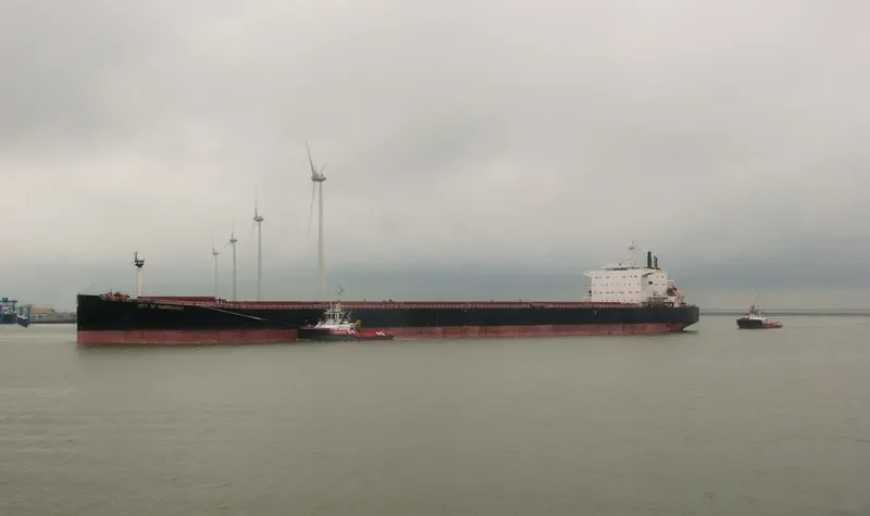 WUYI HK Bulk Carrier IMO 9082881 photo 3