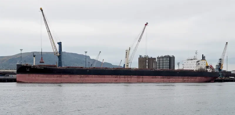 WUYI HK Bulk Carrier IMO 9082881 photo 5
