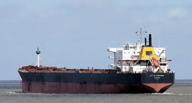 WUYI HK Bulk Carrier IMO 9082881 photo 8