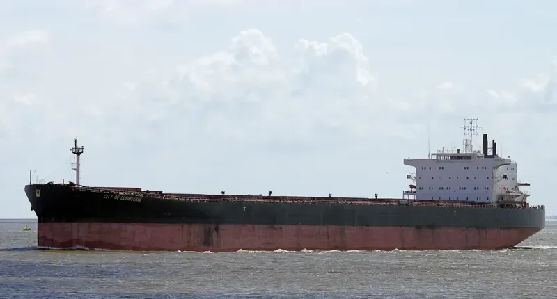 WUYI HK Bulk Carrier IMO 9082881 photo 9