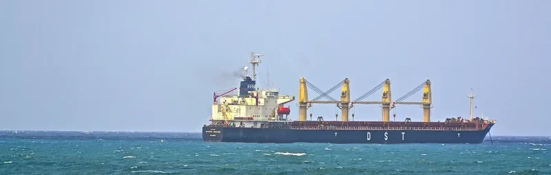 DK 03 Bulk Carrier IMO 9082908