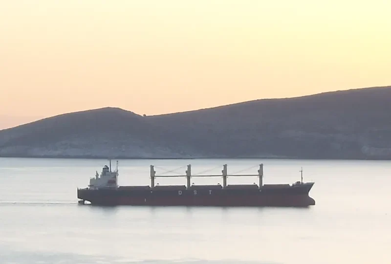 DK 03 Bulk Carrier IMO 9082908 photo 2